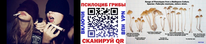Галлюциногенные грибы Psilocybine cubensis Куровское